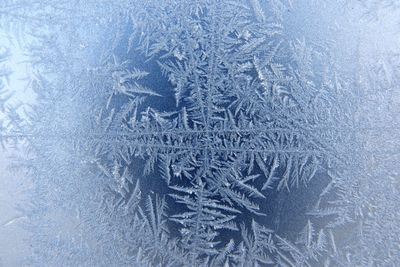 Close-up of snowflakes on glass window