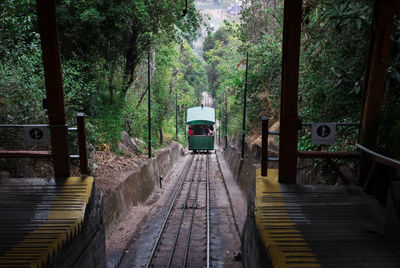 Railroad tracks amidst trees in forest