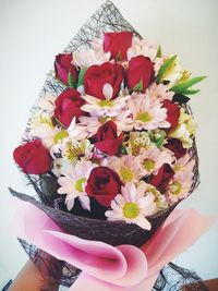 Close-up of red flower over white background