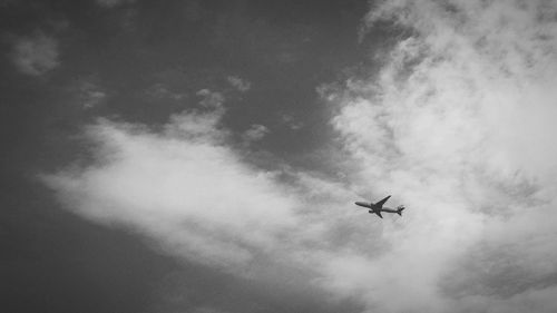 Low angle view of airplane flying in sky