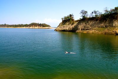 Swan swimming in sea against clear sky