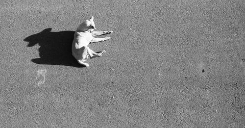 High angle view of woman on floor