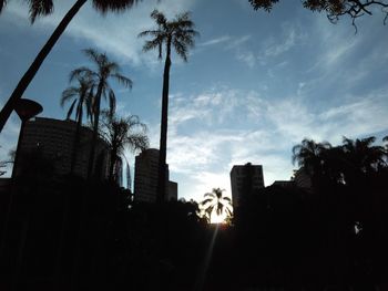 Low angle view of silhouette trees against sky