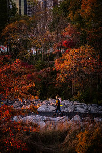 Full length of person on street in forest during autumn