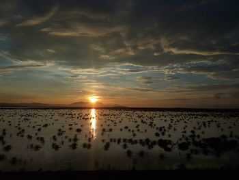 Scenic view of landscape against sky during sunset