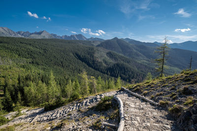 mountain