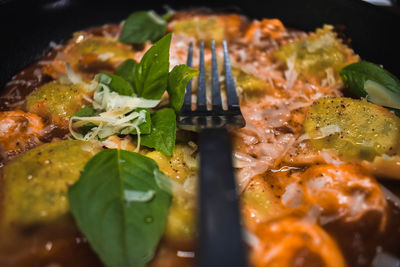 Close-up of meal served in plate