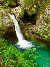 Scenic view of waterfall in forest