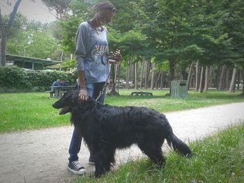 Dog standing on grassy field