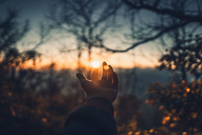 Cropped hand gesturing against trees during sunset