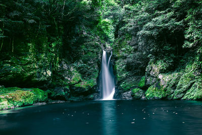 Scenic view of waterfall