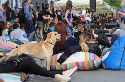 Dog sitting in front of people