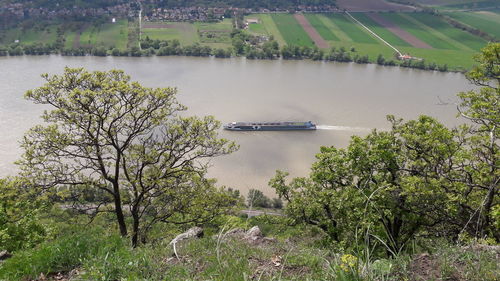 High angle view of sailing boat on river by trees