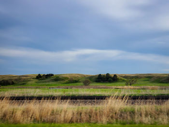 Scenic view of field against sky