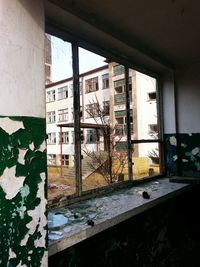 Interior of abandoned house