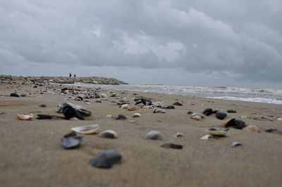 Surface level of beach against sky