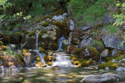 Waterfall in forest