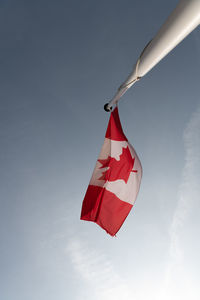Red maple leaf. flag of canada
