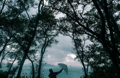 Trees by plants against sky