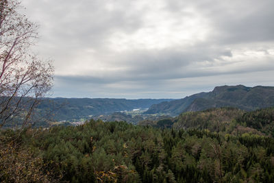 Scenic view of landscape against sky