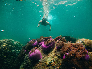 Shirtless man swimming in sea