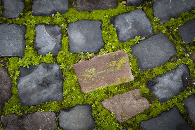 High angle view of stones on footpath