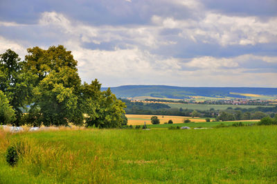 Scenic view of field against sky