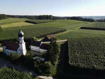 Scenic view of agricultural field against sky