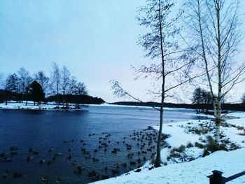 Scenic view of trees against sky during winter