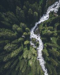 High angle view of waterfall in forest