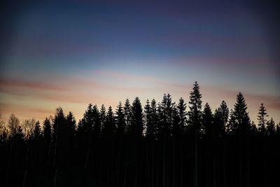 Silhouette of trees at sunset