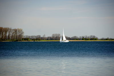 Sailboat sailing on sea against sky