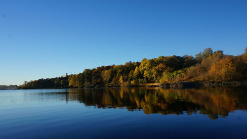 Reflection of trees in calm lake