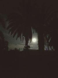 Low angle view of silhouette trees against sky at night
