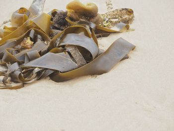 Close-up of objects on sand