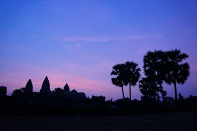 Silhouette of trees at sunset