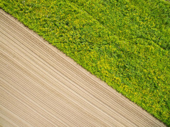 Full frame shot of footpath