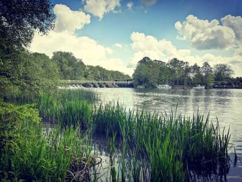Scenic view of lake against sky