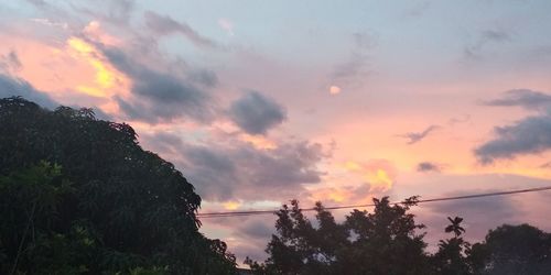 Low angle view of silhouette trees against dramatic sky