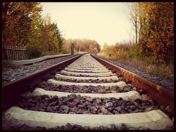 Railroad tracks in forest