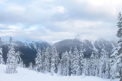 Trees on snow covered landscape against sky