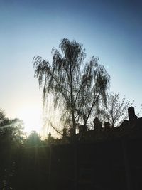 Low angle view of silhouette trees against sky during sunset