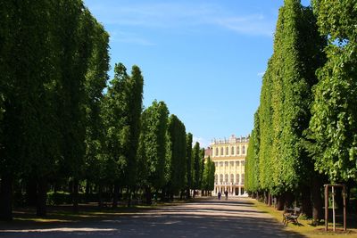 View of building along trees