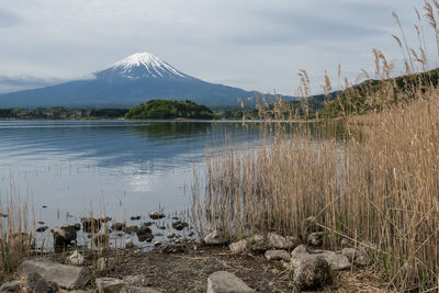 Mount fuji from oishi park at kawaguchiko lake in morning, yamanashi, japan. famous travel 