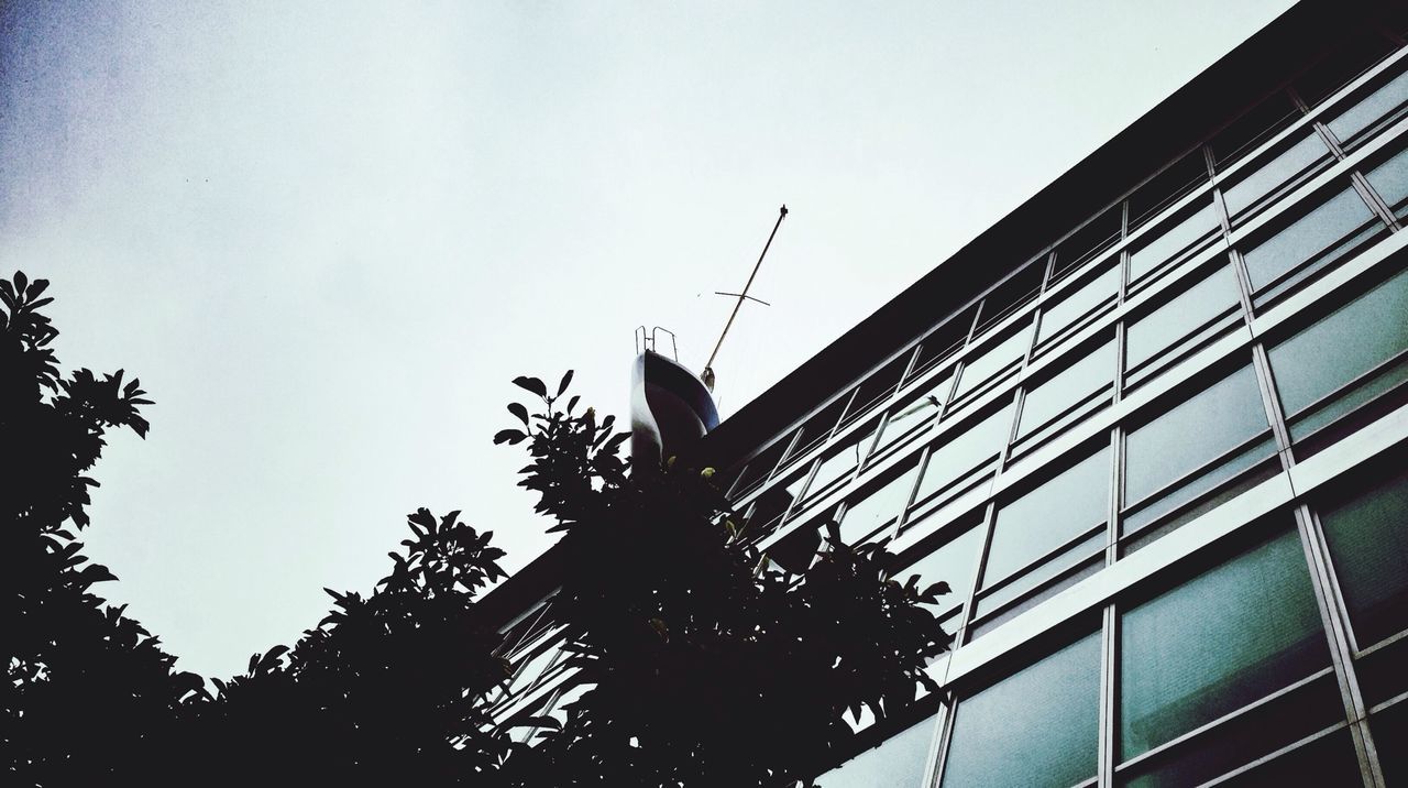 low angle view, building exterior, architecture, built structure, clear sky, tree, building, growth, sky, modern, copy space, city, tall - high, office building, day, outdoors, no people, window, silhouette, skyscraper