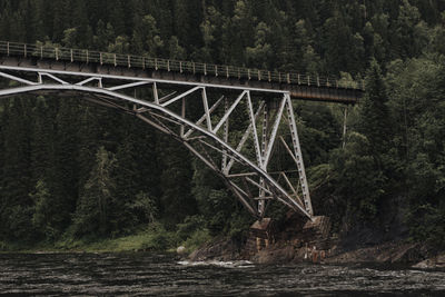 Bridge over river in forest