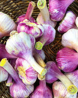 Full frame shot of purple for sale in market