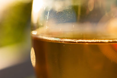 Close-up of beer in glass