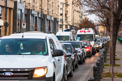 Vehicles on road along buildings