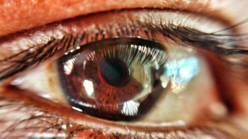 Extreme close-up of eye